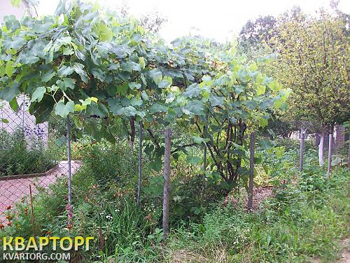 Sell house. Винница, с. Березино — photo 10