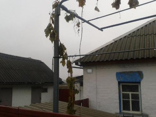 Sell house. Киевская обл., Гагарина — photo 1