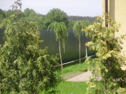 Sell house. Киевская обл., Плесецкое — photo 9