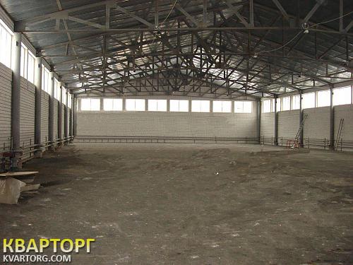 Rent out warehouse. Буча, Горького — photo 1
