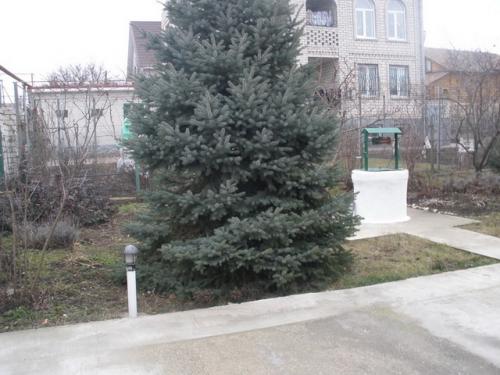 Sell house. Одесса, 2-й переулок Иванова — photo 2