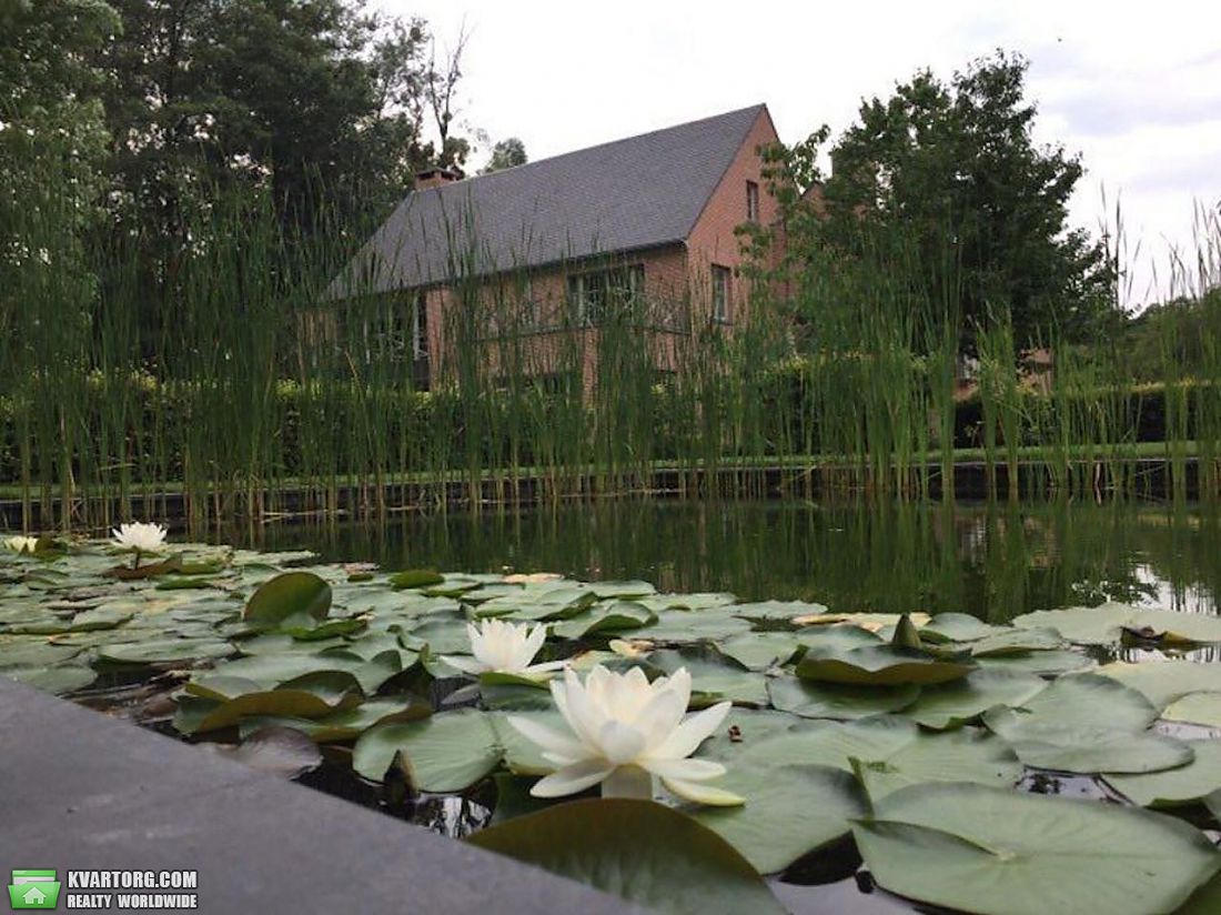 Rent out house. Киевская обл., Великие Дмитровичи — photo 9