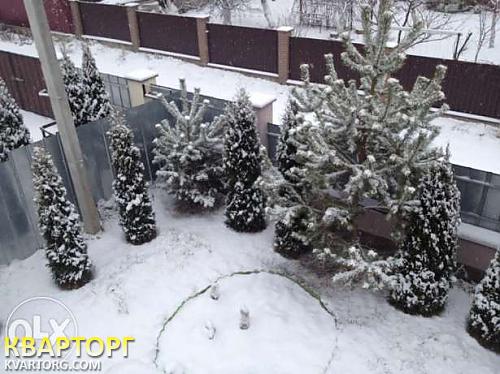 Rent out house. Киевская обл., Одесская трасса — photo 9