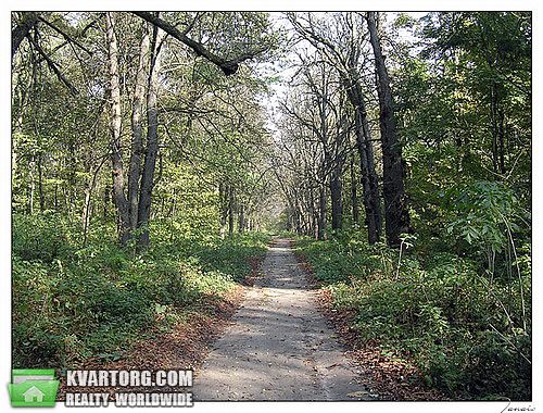 Sell house. Борисполь, Сулимовка — photo 4