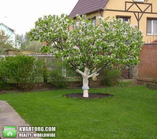 Rent out house. Киев,  Осокорская — photo 1