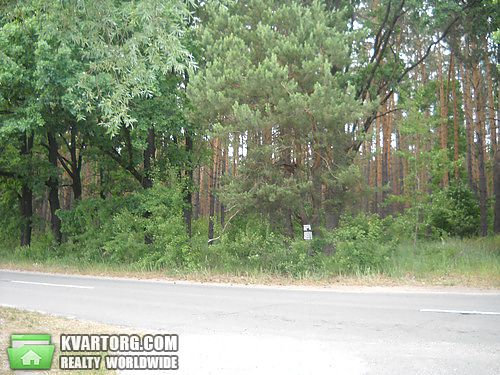 Rent out house. Киевская обл., Пороскотень — photo 6