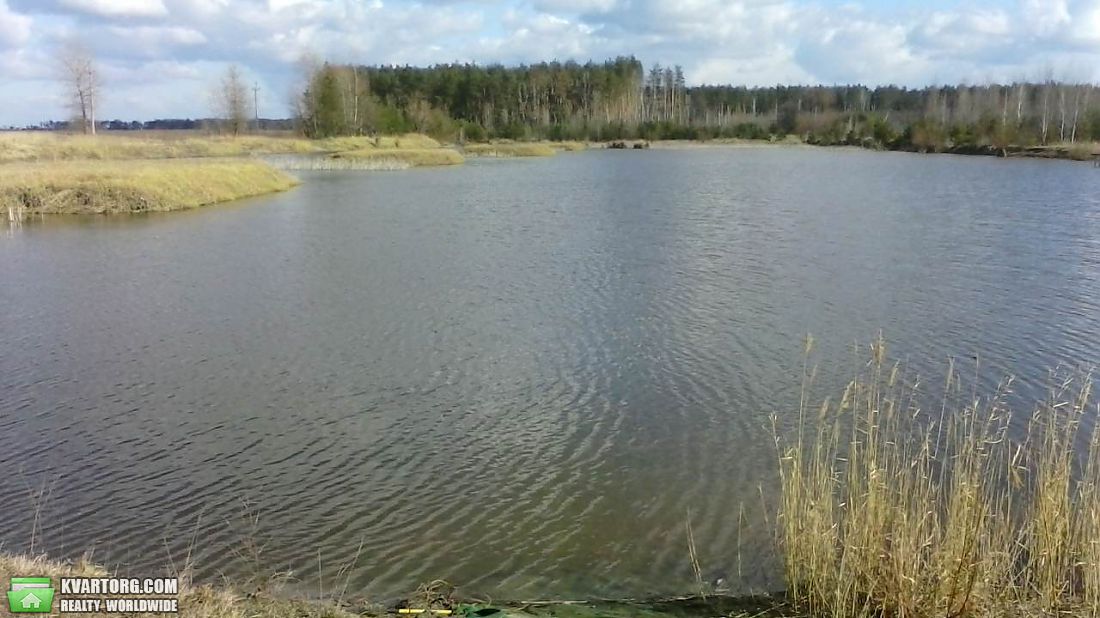 Sell house. Киевская обл., Вабля — photo 3