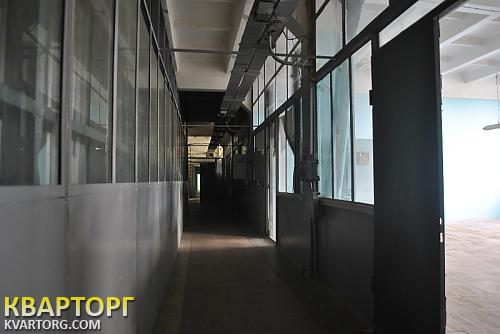 Rent out warehouse. Киев, Воздухофлотский пр — photo 8