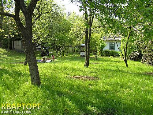 Sell house. Киевская обл., Юшки — photo 1