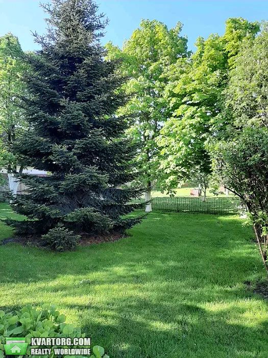 Sell house. Киевская обл., Грушевского — photo 7