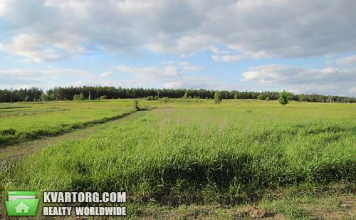 Sell house. Киевская обл., Плесецкое — photo 2
