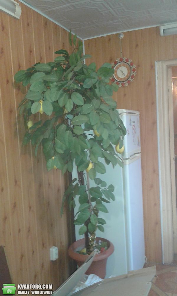 Rent out house. Одесса, Никитина — photo 3
