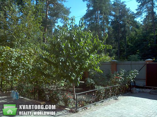 Rent out house. Киевская обл., Молодежная — photo 3
