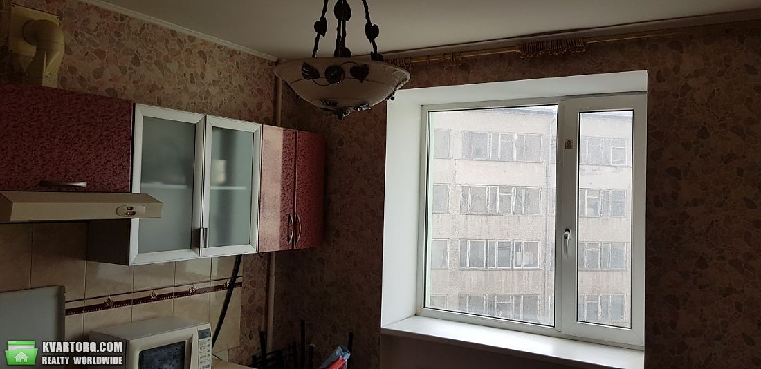 Rent out 1-room apartment. Одесса,  Нищинского — photo 3
