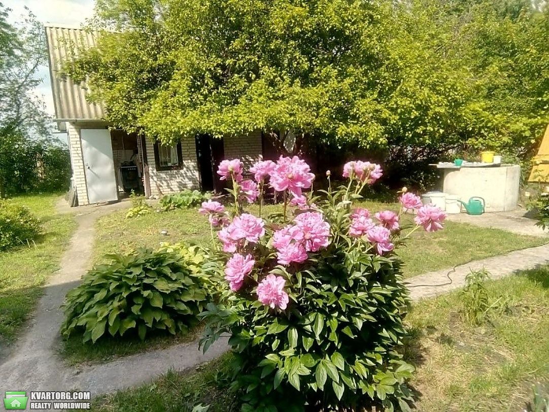 Sell house. Киевская обл., Загальці — photo 6