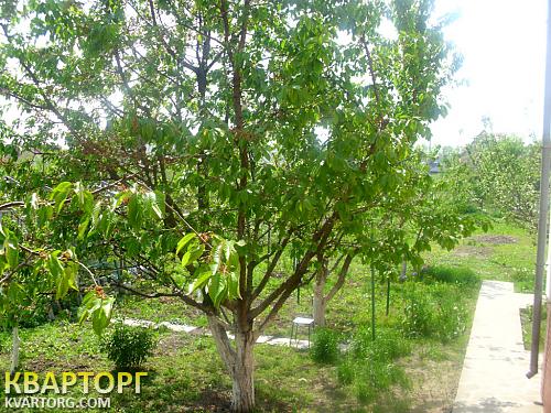 Rent out house. Киевская обл., мая — photo 5