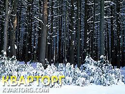 Sell house. Киевская обл.,  10 линия — photo 7
