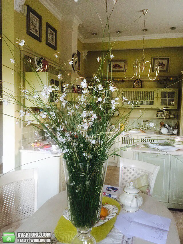 Sell house. Одесса, Ромашковая — photo 1