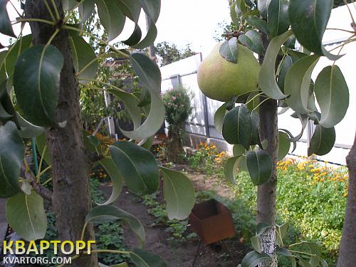 Sell house. Ирпень, Богдана Хмельницкого — photo 10