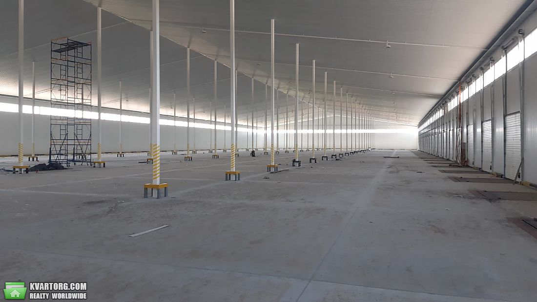 Rent out warehouse. Киевская обл., Черновола с. Святопетров — photo 2