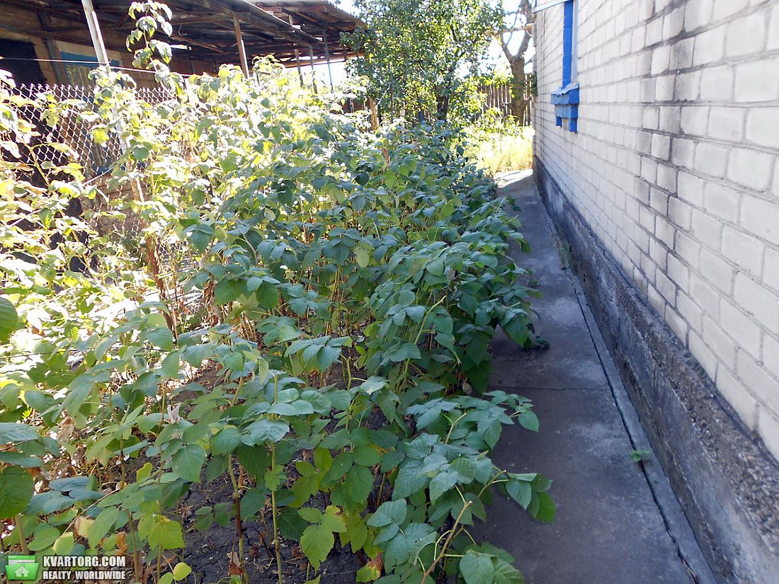 Sell house. Запорожье, Автодорожная — photo 2