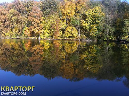 Sell house. Киевская обл., с.Оленовка — photo 7