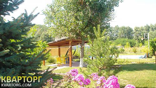 Rent out house. Киевская обл., Старые Безрадичи — photo 4