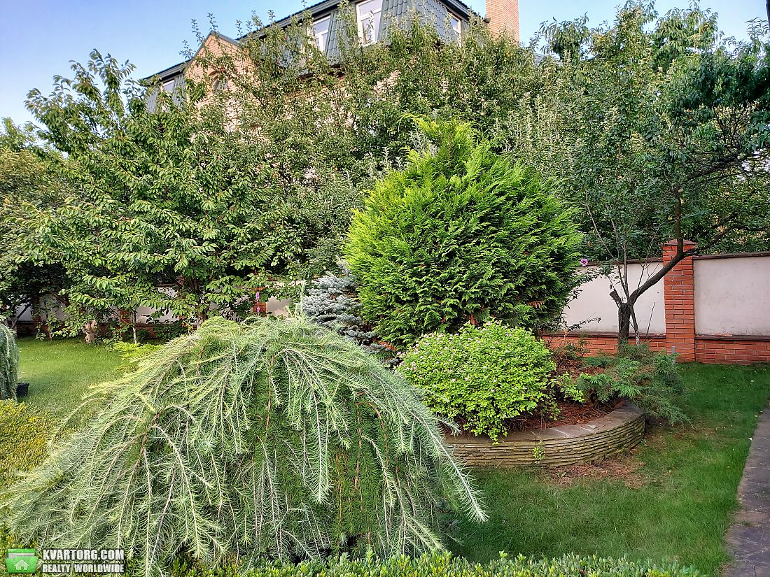 Sell house. Киев, Новоселки — photo 7