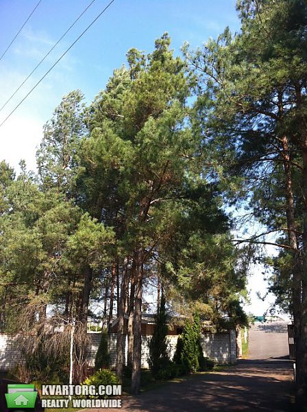 Rent out house. Киевская обл., Конча-Заспа — photo 2