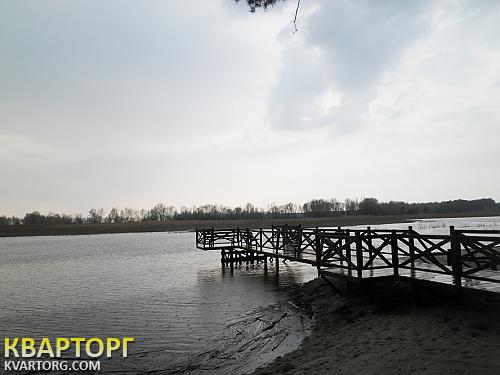 Rent out house. Черкассы, Чапаевка — photo 4