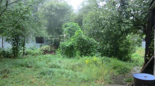 Sell house. Киевская обл., Октября — photo 3