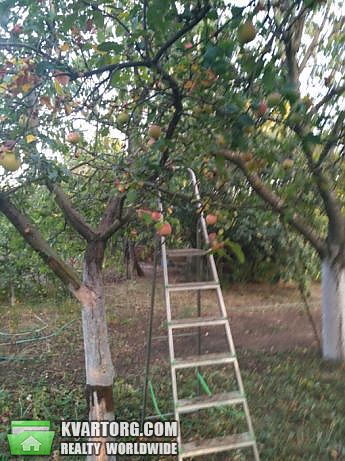 Sell house. Одесса, Дофиновка — photo 10