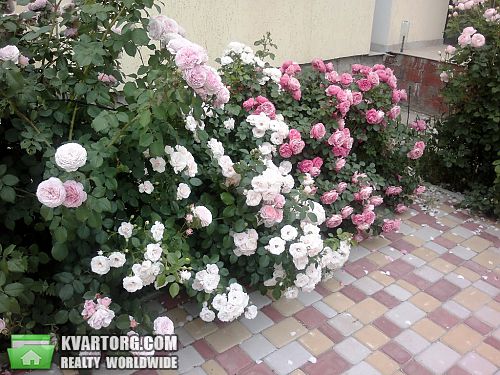Sell house. Одесса, 6-я линия — photo 3