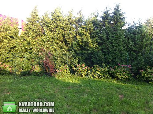 Sell house. Киевская обл., Безрадичи — photo 7