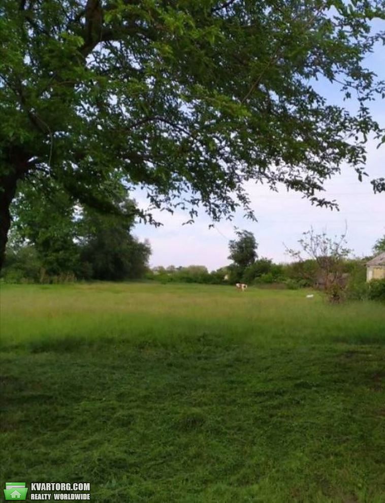 Sell house. Киевская обл., с.Козлов — photo 2