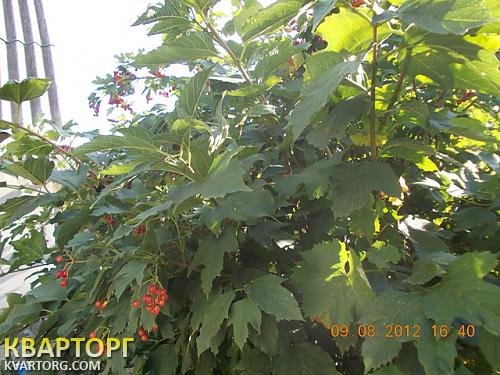 Sell house. Одесса, Светлое — photo 1