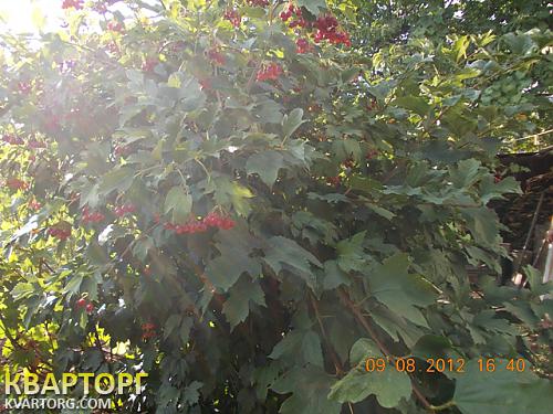 Sell house. Одесса, Светлое — photo 9