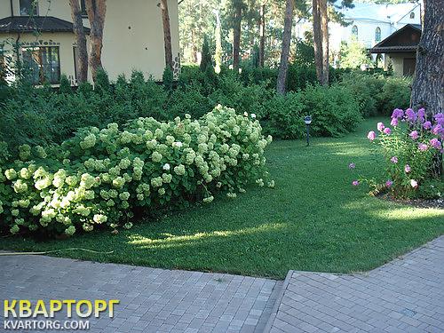 Sell house. Киевская обл., Козин — photo 2