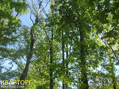 Sell house. Киевская обл., Коментерна — photo 10