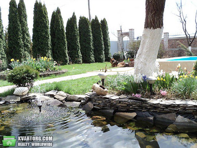Rent out house. Киевская обл., Щорса — photo 2