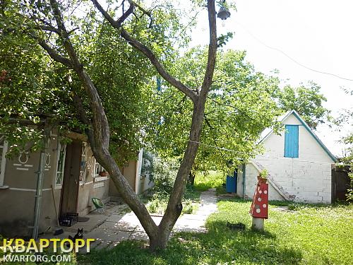 Sell house. Киевская обл., Тарасовка — photo 6