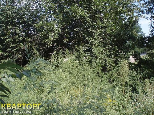 Sell house. Киев, Осокорки. — photo 6
