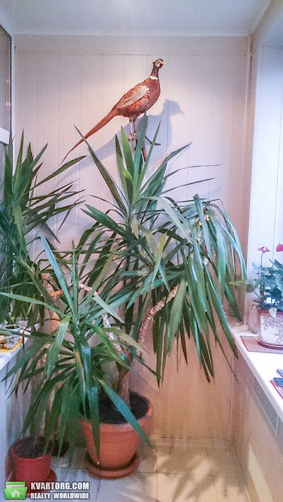 Sell 3-room apartment. Днепропетровск, Суворова — photo 2