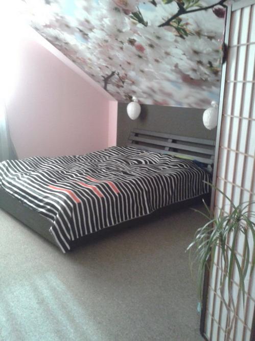 Rent out house. Днепропетровск, Рабочая — photo 2