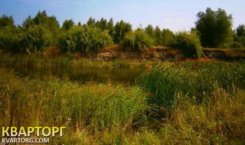 Sell house. Киевская обл., Мотыжин — photo 9