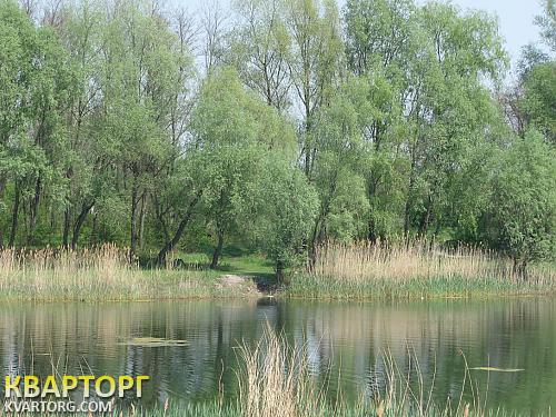 Sell house. Киевская обл., Требухов — photo 3