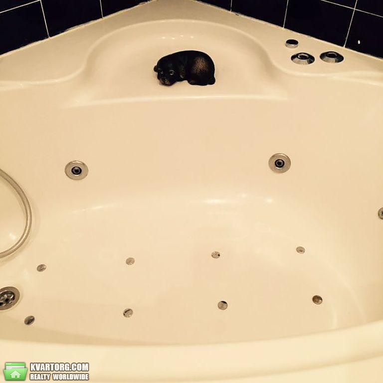 Rent out 3-room apartment. Киев, Каземира Малевича — photo 10