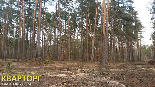продам участок. Киевская обл.,  высшая дубечня - фото 3