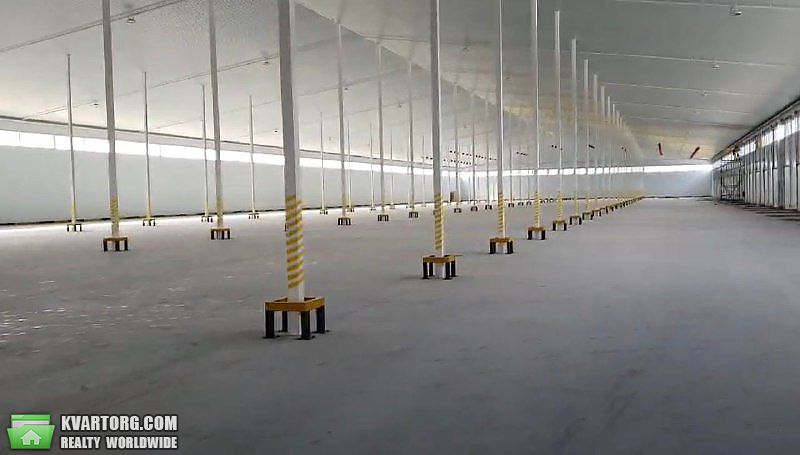 Rent out warehouse. Киевская обл., Киевская — photo 3