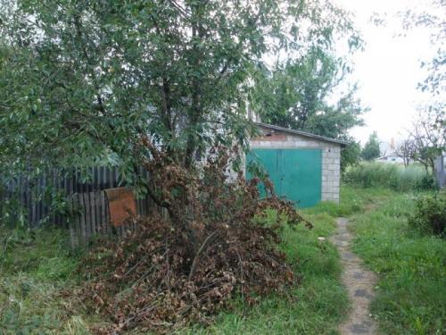 Sell house. Киевская обл., Новая 7 — photo 4
